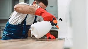 Professional Pest Control in Banning, CA